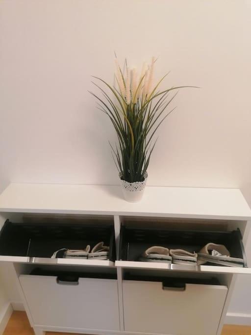 Apartment Green Lux بلغراد المظهر الخارجي الصورة